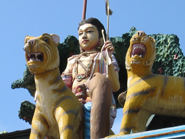 Ayyappan-mit-Tiger-12.06.jpg