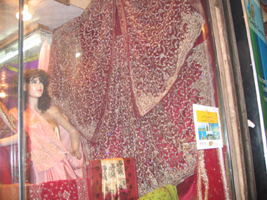 Dehli-Sari-04.jpg